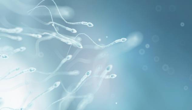 ©Science Photo Library/stock.adobe.com