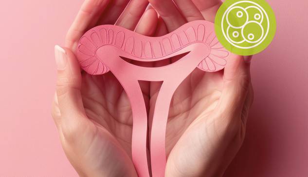 Hände halten sanft einen rosafarbenen Ausschnitt einer Gebärmutter auf rosafarbenem Hintergrund, mit einem grünen kreisförmigen Symbol, das Zellen in der oberen rechten Ecke zeigt und die reproduktive Gesundheit und Fruchtbarkeit der Frau symbolisiert.